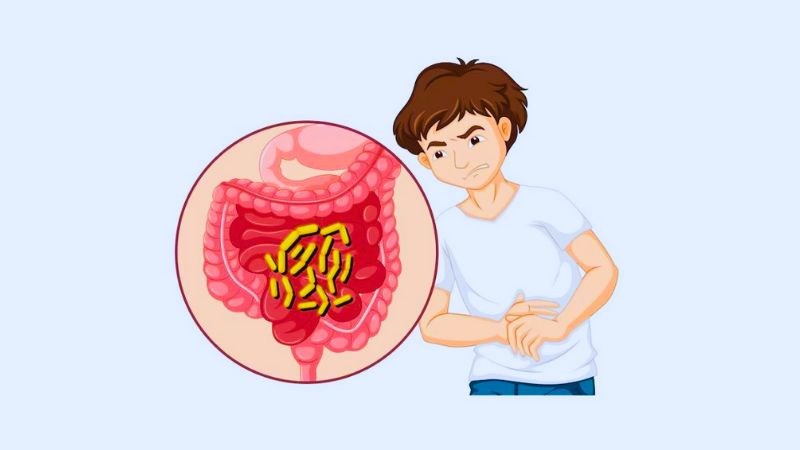 Ăn nhiều chôm chôm không tốt vì dễ gây ra các bệnh đường tiêu hóa