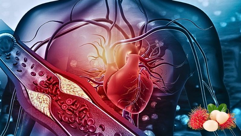 Chôm chôm giúp giảm cholesterol xấu, tránh gây tắc mạch