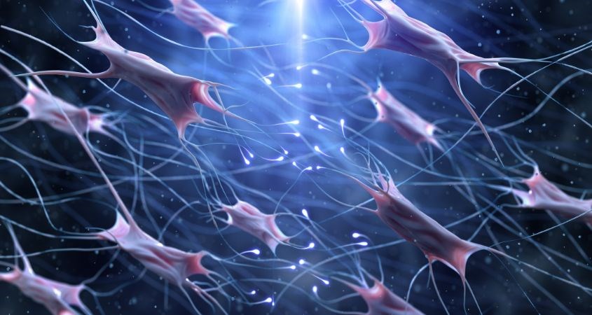 Collagen là một dạng protein trong cơ thể