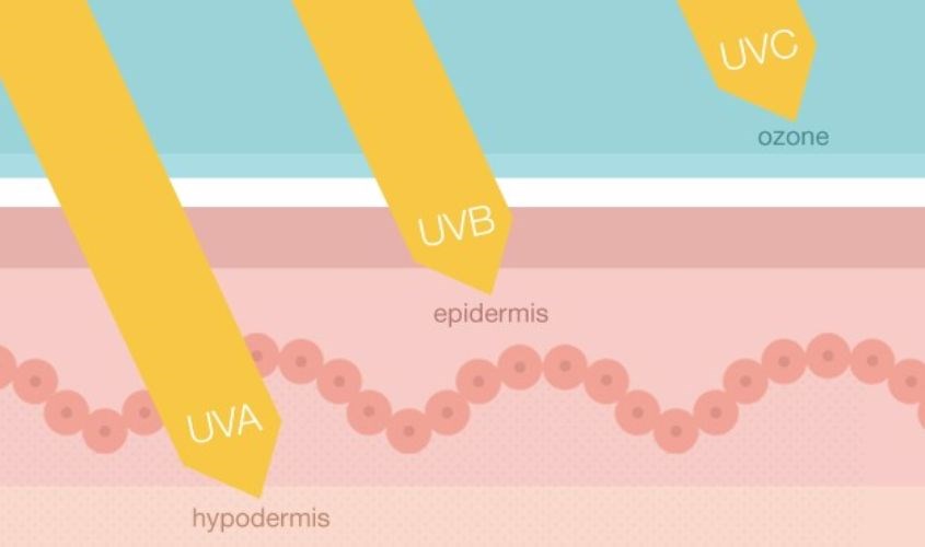 Tia UV được chia thành 3 nhóm