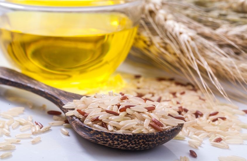 Giá trị dinh dưỡng của dầu gạo ở lớp vỏ cám gạo Giá trị dinh dưỡng của dầu gạo ở lớp vỏ cám gạo