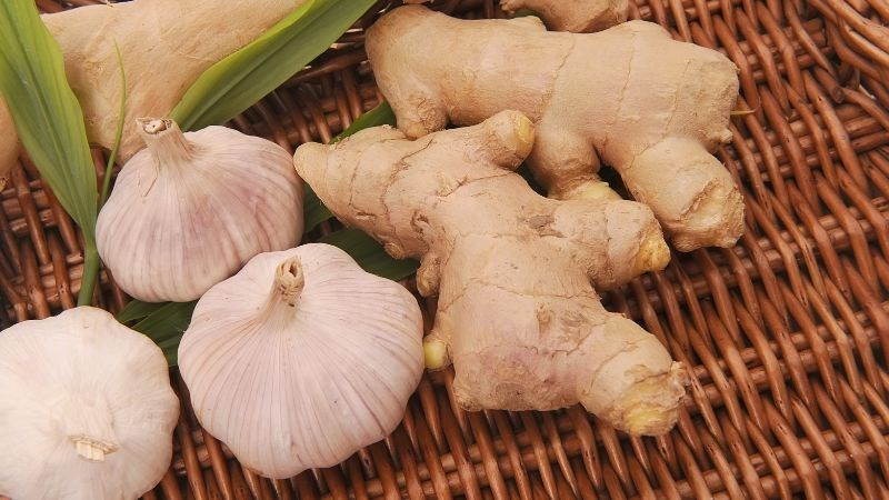 Đắp tỏi và gừng giúp tiêu diệt vi sinh vật gây bệnh răng miệng