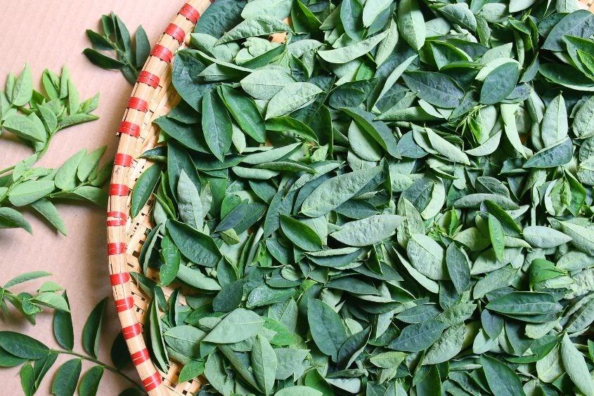 Ăn rau ngót giúp nhanh hết sản dịch sau sinh mổ (Ảnh: Canva)