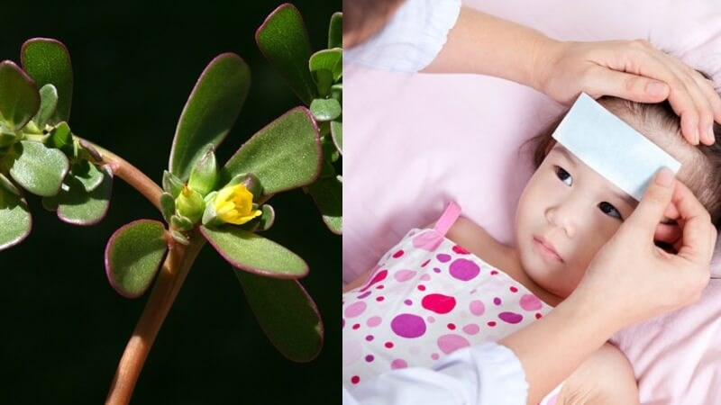Các phương pháp dân gian không điều trị triệt để bệnh tay chân miệng