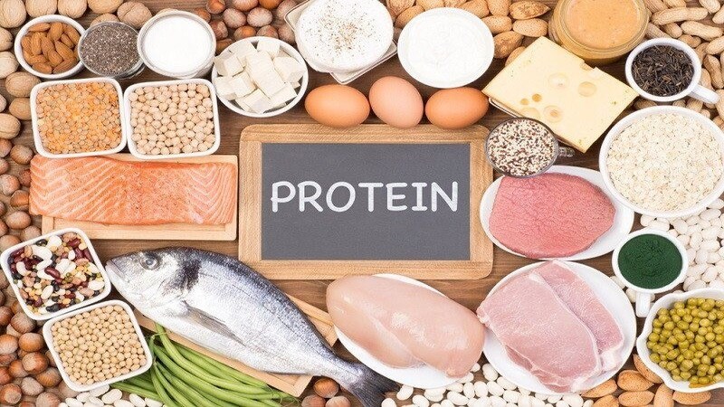 Protein có thể giúp kích thích tiêu hao năng lượng, thúc đẩy giảm lượng mỡ nội tạng