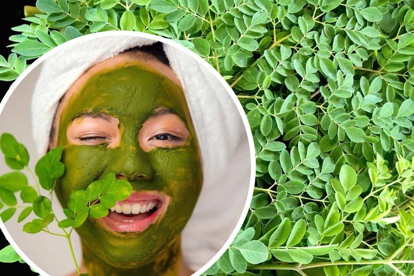 Gợi ý cách làm mặt nạ lá chùm ngây đơn giản