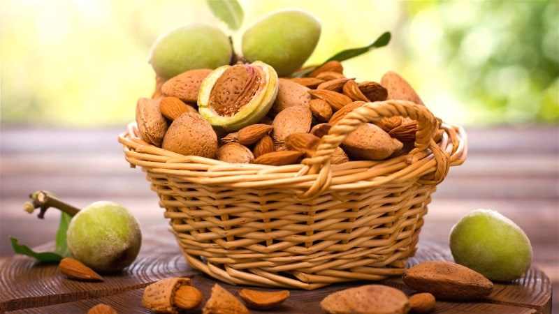 Người bình thường chỉ nên ăn khoảng 20 - 23 quả hạnh nhân mỗi ngày