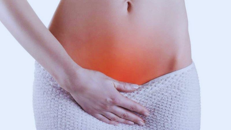 Hạt sen có tác dụng chống vi khuẩn và giúp giảm nguy cơ viêm tiết niệu
