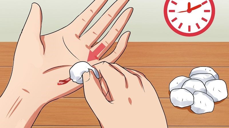 Vitamin K trong hạt sen đóng vai trò quan trọng trong việc đông máu