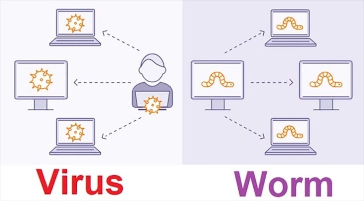Worm máy tính hoạt động theo cách thức len lỏi vào các lỗ hỏng trong máy tính bạn 