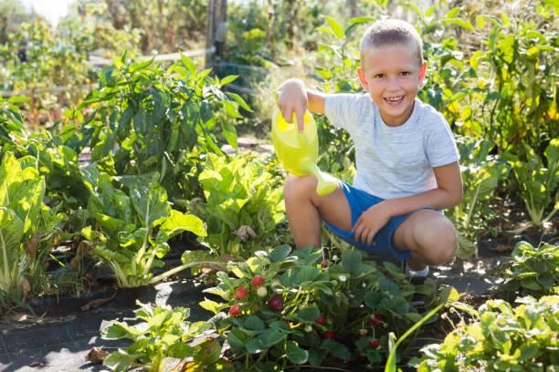 Tất cả những điều trên (hoạt động thể chất, giảm căng thẳng…)  góp phần mang lại giấc ngủ ngon hơn và sâu hơn cho mọi người.