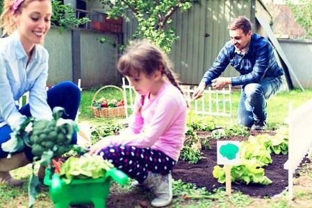 Trẻ em có thể làm rất nhiều việc cho khu vườn gia đình, dù là làm độc lập hoặc cùng với người lớn. 