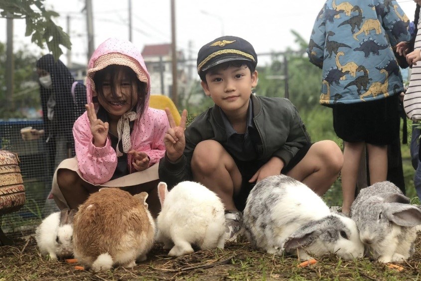 Khu vui chơi trẻ em ở Đà Nẵng Baby Farm