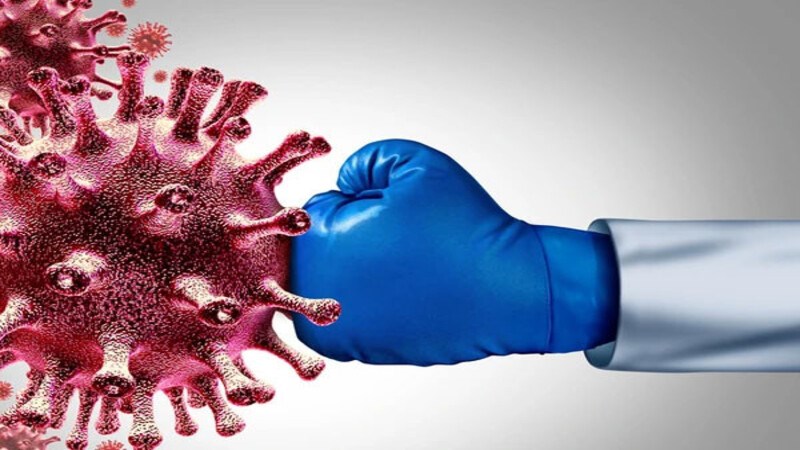 L&aacute; v&uacute; sữa gi&uacute;p tăng khả năng miễn dịch của cơ thể