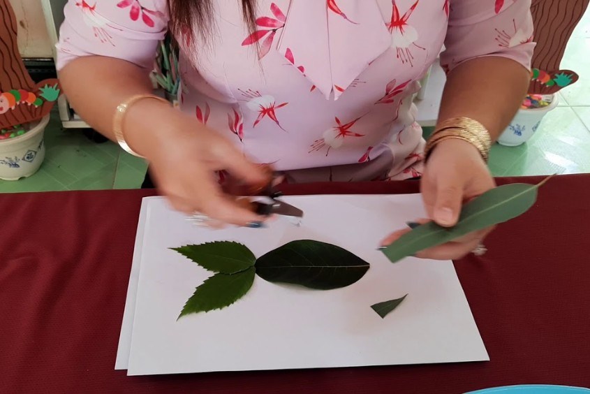 Làm đồ chơi từ lá cây: Lá cây không chỉ làm mát mẻ không khí mà còn dùng để làm đồ chơi dành cho trẻ em. Xem hình ảnh để biết cách tạo ra các món đồ chơi đơn giản nhưng đầy màu sắc từ vật liệu tự nhiên là lá cây.