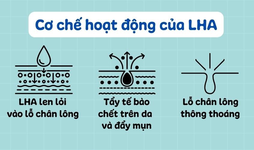 Cơ chế hoạt động của LHA