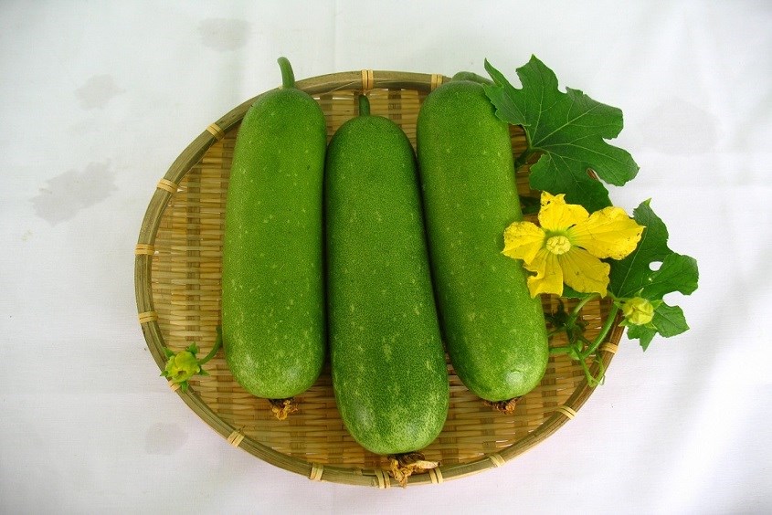 Bà bầu ăn bí đao được không