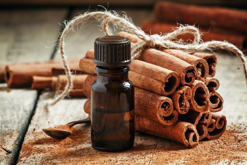 Gợi ý cách làm tinh dầu quế đơn giản tại nhà