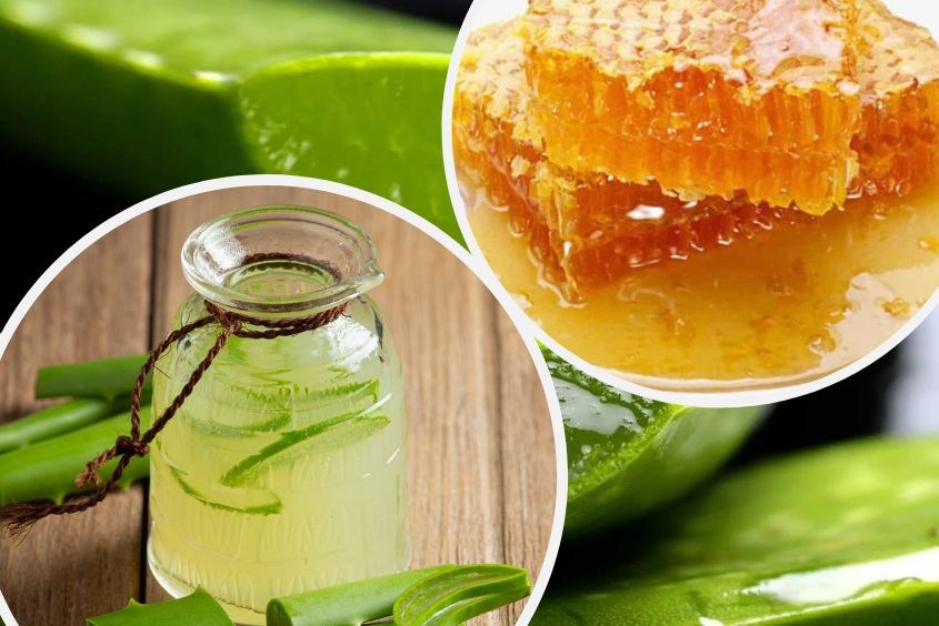 Cách nấu nước nha đam với mật ong cực dễ