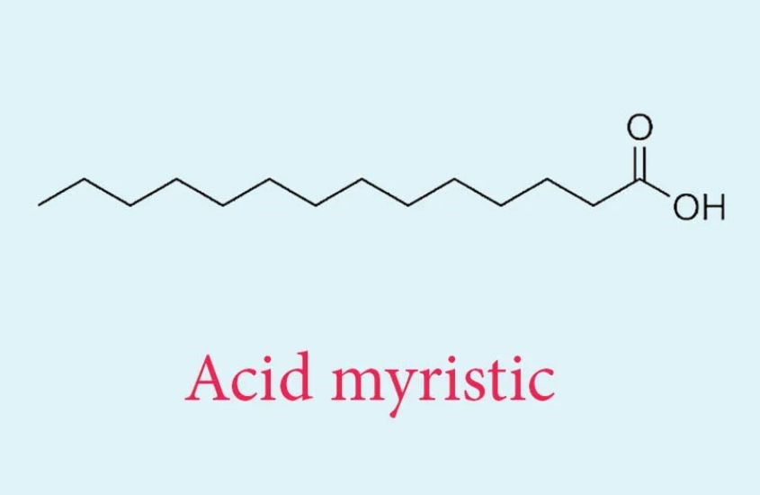 Myristic acid là acid béo bão hòa, chỉ có thể điều chế từ phòng thí nghiệm