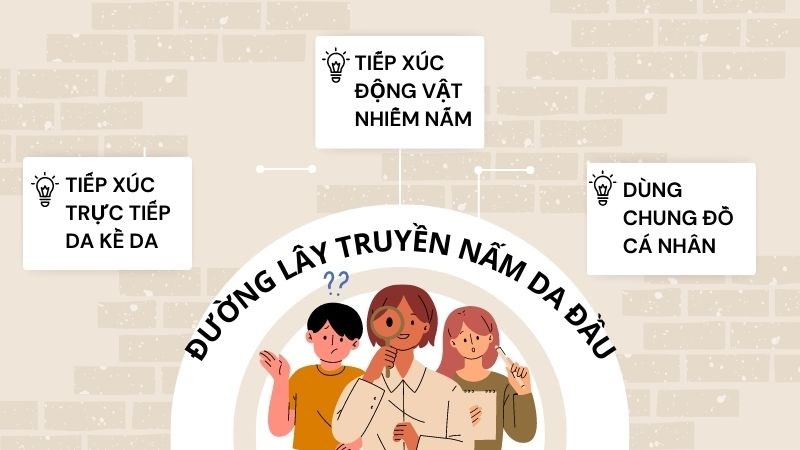 Các con đường lây truyền nấm da đầu
