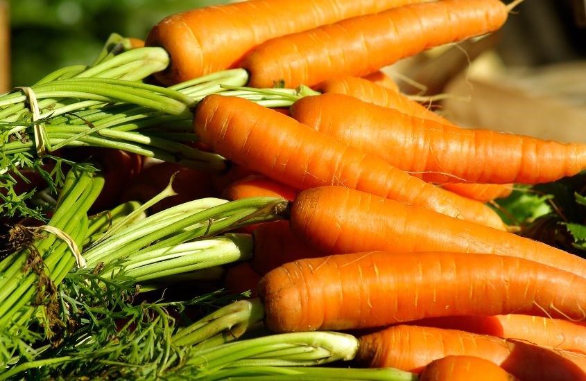 Cà rốt là thực phẩm cung cấp nhiều vitamin A giúp bé sáng mắt Cà rốt là thực phẩm cung cấp nhiều vitamin A giúp bé sáng mắt