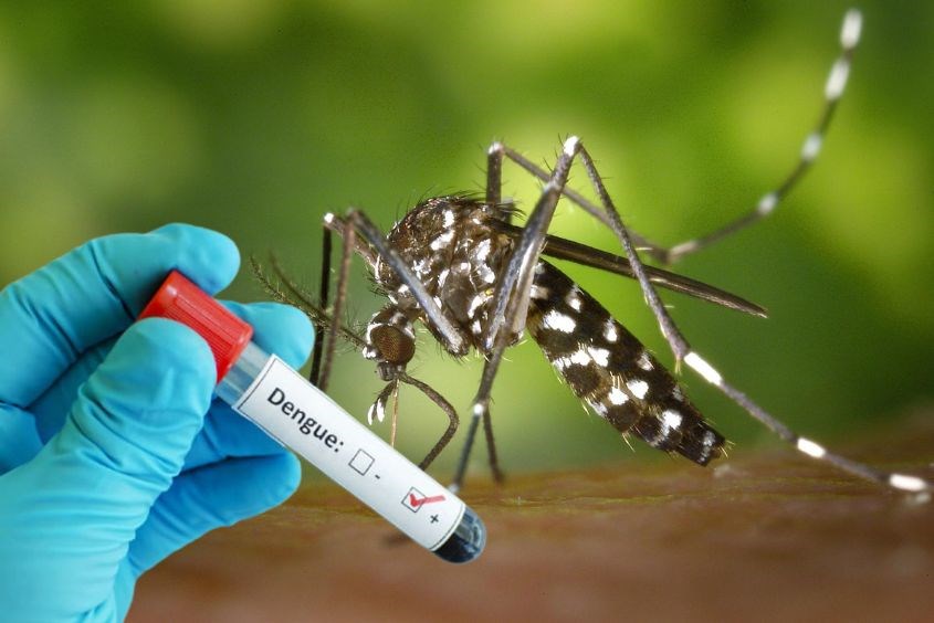 Gợi ý nơi xét nghiệm sốt xuất huyết ở trẻ uy tín