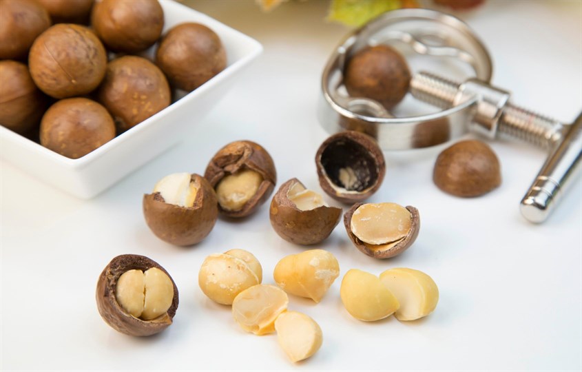 Hạt Macca hỗ trợ hệ miễn dịch khỏe mạnh cho mẹ và sự phát triển toàn diện của bé