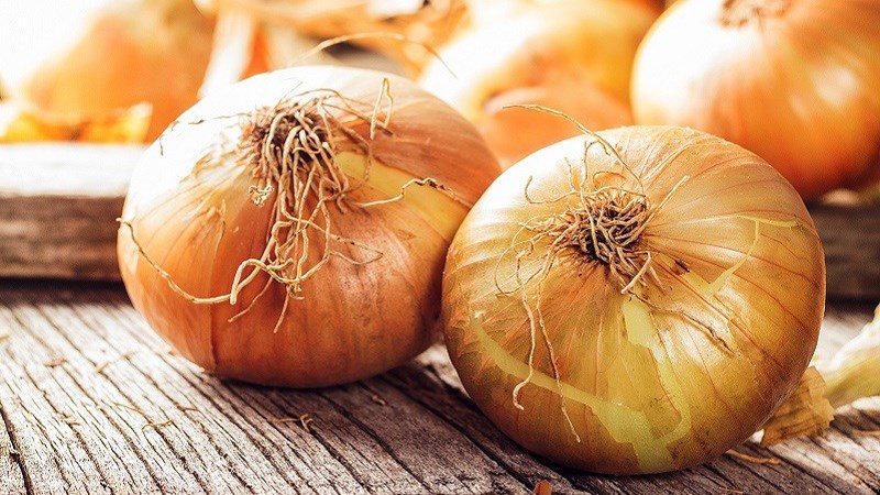 Sử dụng chiết xuất hành tây làm giảm đáng kể triệu chứng viêm mũi dị ứng 
