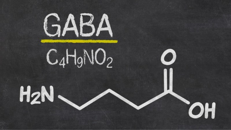 GABA là chất dẫn truyền thần kinh liên quan đến bệnh động kinh