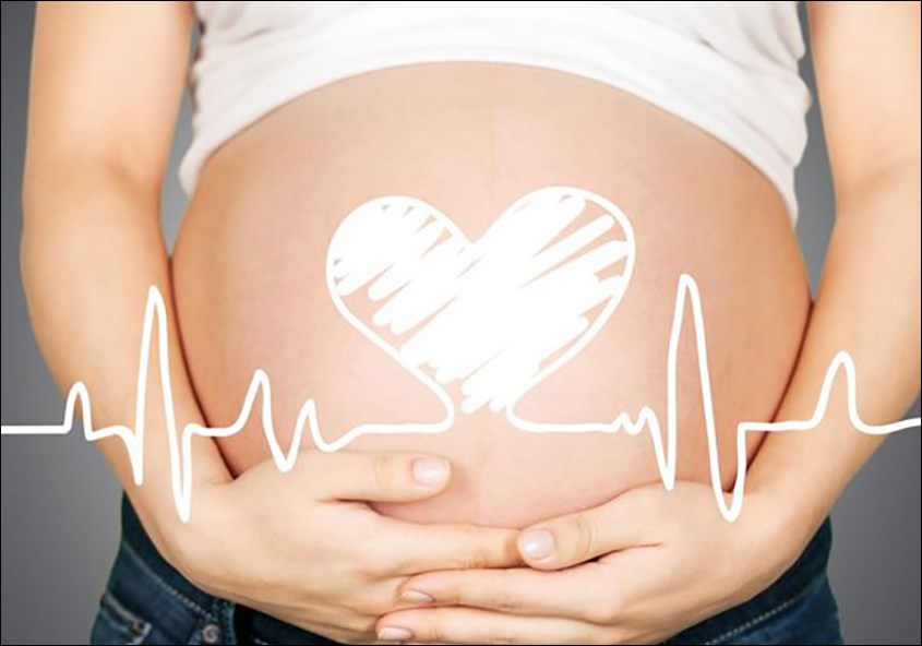 Nguyên nhân không có tim thai do thiết bị siêu âm