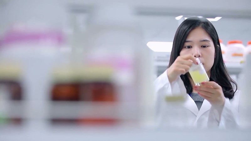 KOLMAR BNH trong giai đoạn 2011 tới nay