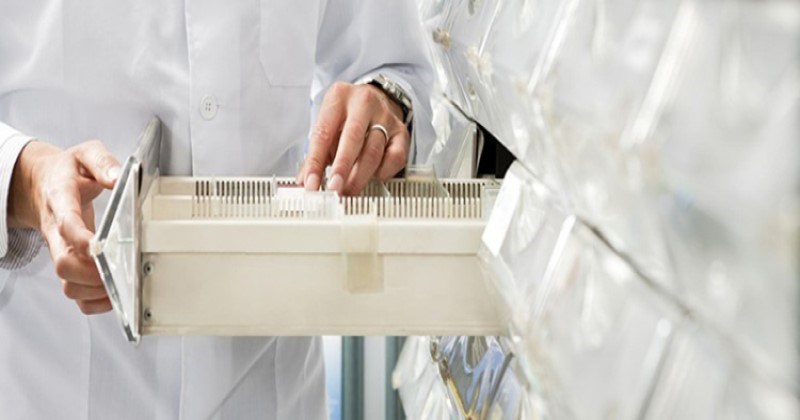Hãng chuyên thực hiện các hợp đồng sản xuất chất bổ sung chế độ ăn uống