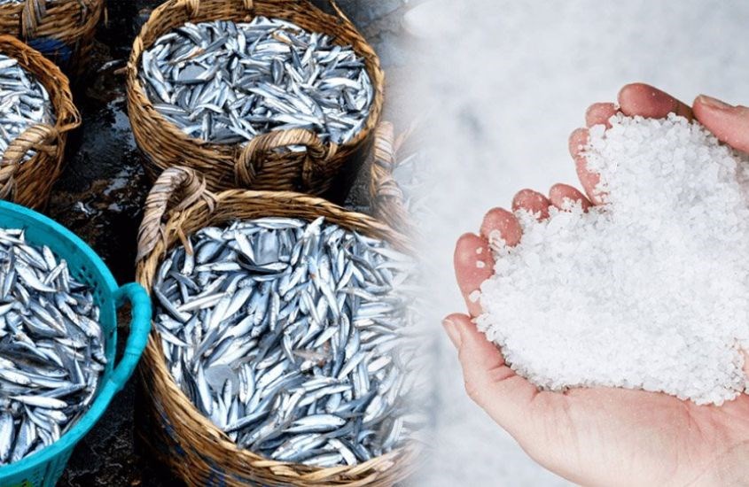 Nguyên liệu làm mắm là cá và muối