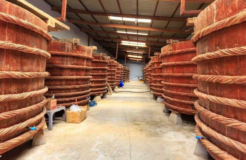 Ủ chượp cá và muối