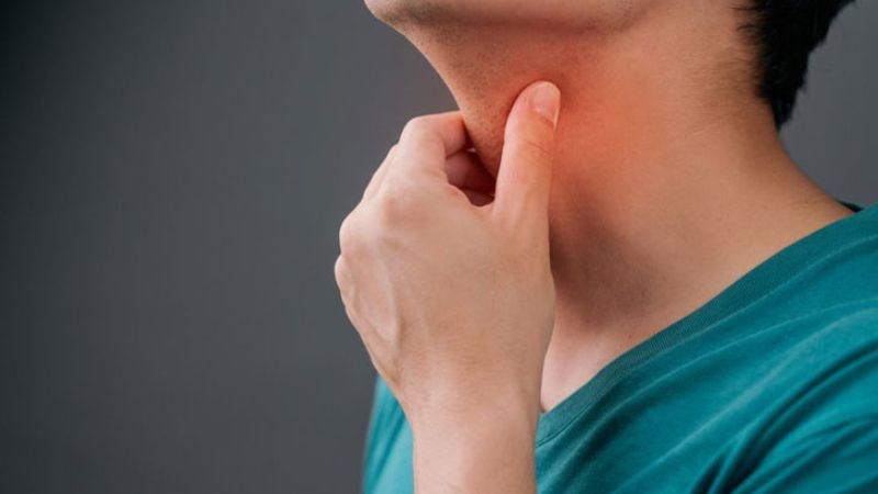 Mía có tính ngọt mát giúp cải thiện tình trạng đau họng