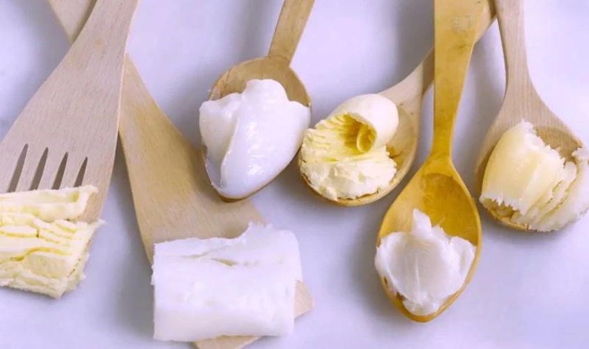 Mỡ động vật Mỡ động vật