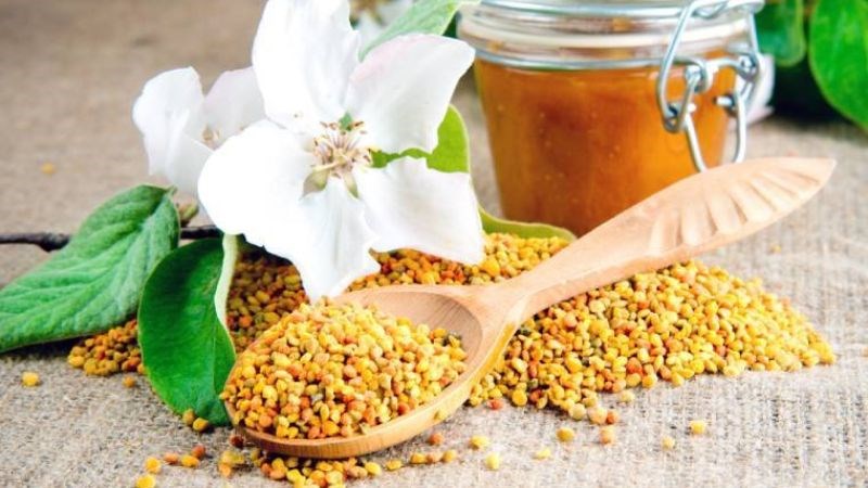 Phấn hoa mật ong là một nguồn dinh dưỡng đặc biệt có lợi cho sức khỏe.