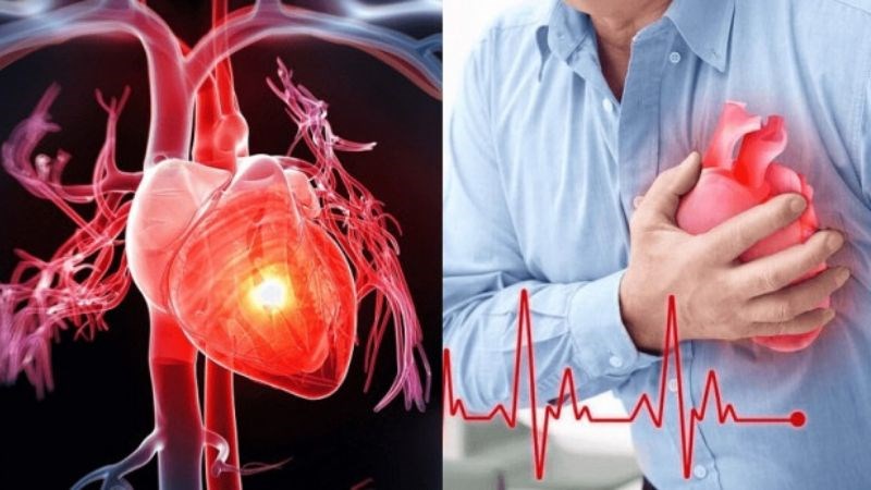 Phấn hoa mật ong có thể làm giảm nguy cơ mắc bệnh tim mạch.