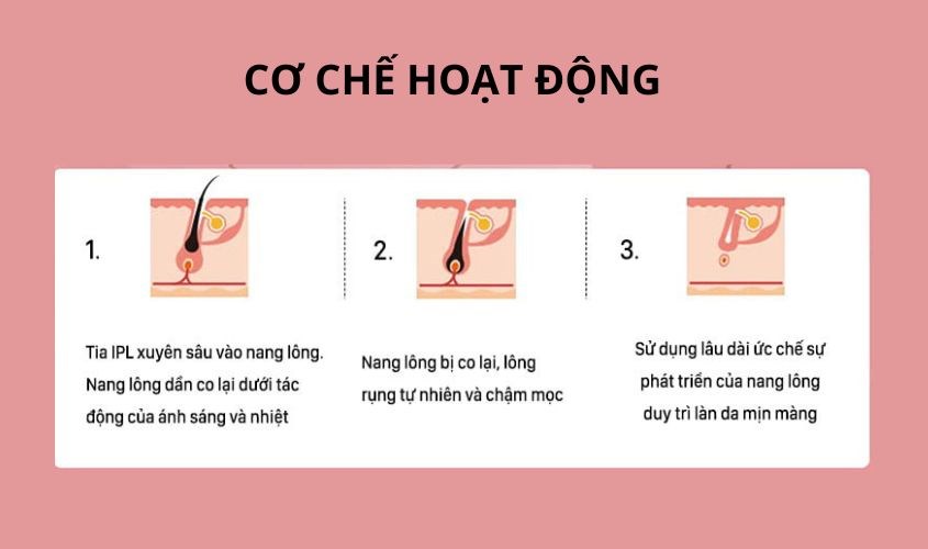 Cơ chế hoạt động dựa trên các bức sóng ánh sáng