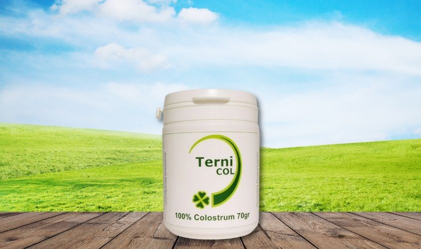 Ternicol là thương hiệu sữa non nổi tiếng đến từ Thụy Điển