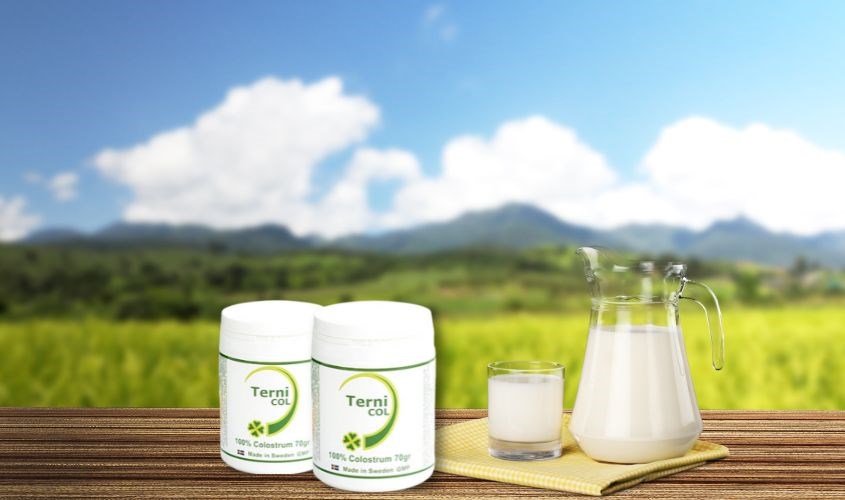 Những ưu điểm nổi bật của sữa non Ternicol