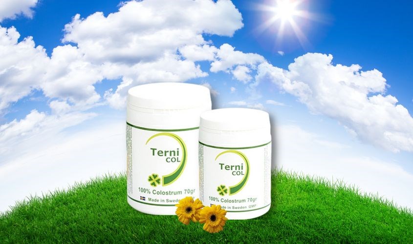 Những nhược điểm hiện tại của sữa non Ternicol