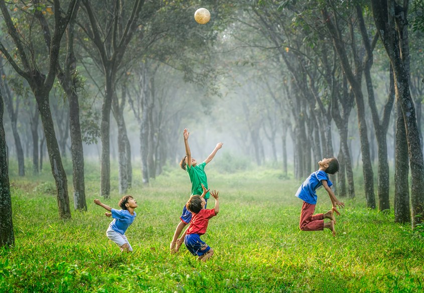 7 cách hiệu quả để thúc đẩy phát triển thể chất cho trẻ mầm non