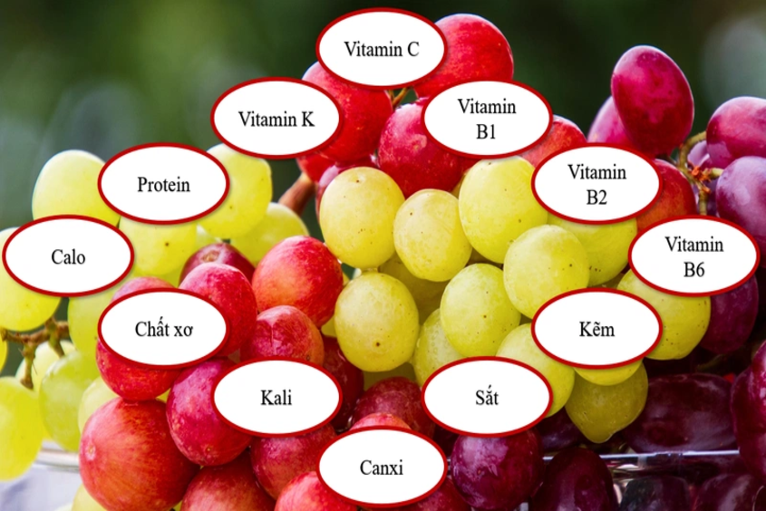 Thành phần dinh dưỡng trong quả nho