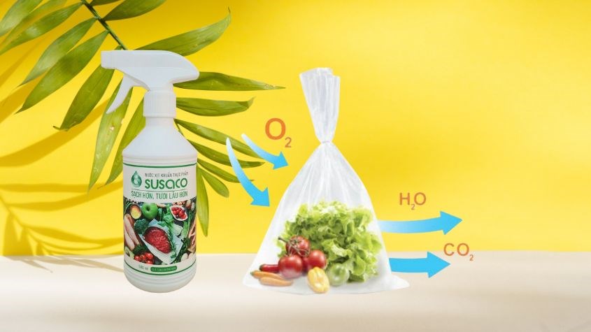 Dòng sản phẩm bảo quản thực phẩm từ thương hiệu Kentek