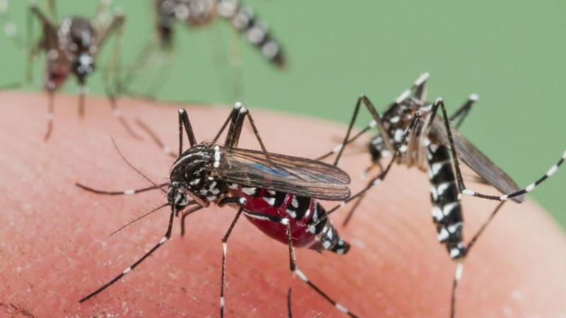 Sốt rét (Malaria) là một dạng bệnh nghiêm trọng có thể lây truyền Sốt rét (Malaria) là một dạng bệnh nghiêm trọng có thể lây truyền