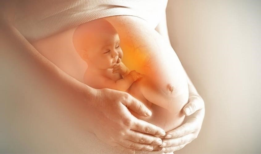 Không chỉ mang lại lợi ích cho mẹ bầu, sữa đậu phộng còn giúp thai nhi phát triển