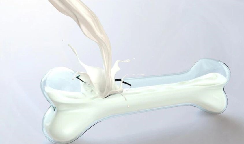 Vitamin E, Lutein, DHA cung cấp hơn 50% lượng canxin cho sự phát triển của bé