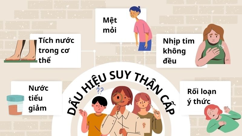 Triệu Chứng Của Suy Thận Cấp: Dấu Hiệu Nhận Biết Sớm Để Phòng Ngừa Hiệu Quả